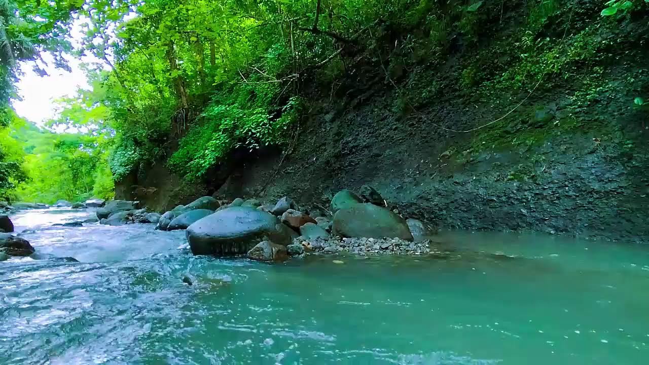 Nature's Calm - Sleep Like a Baby – This Forest Stream Sound Is a Total Game Changer - Deep Sleep