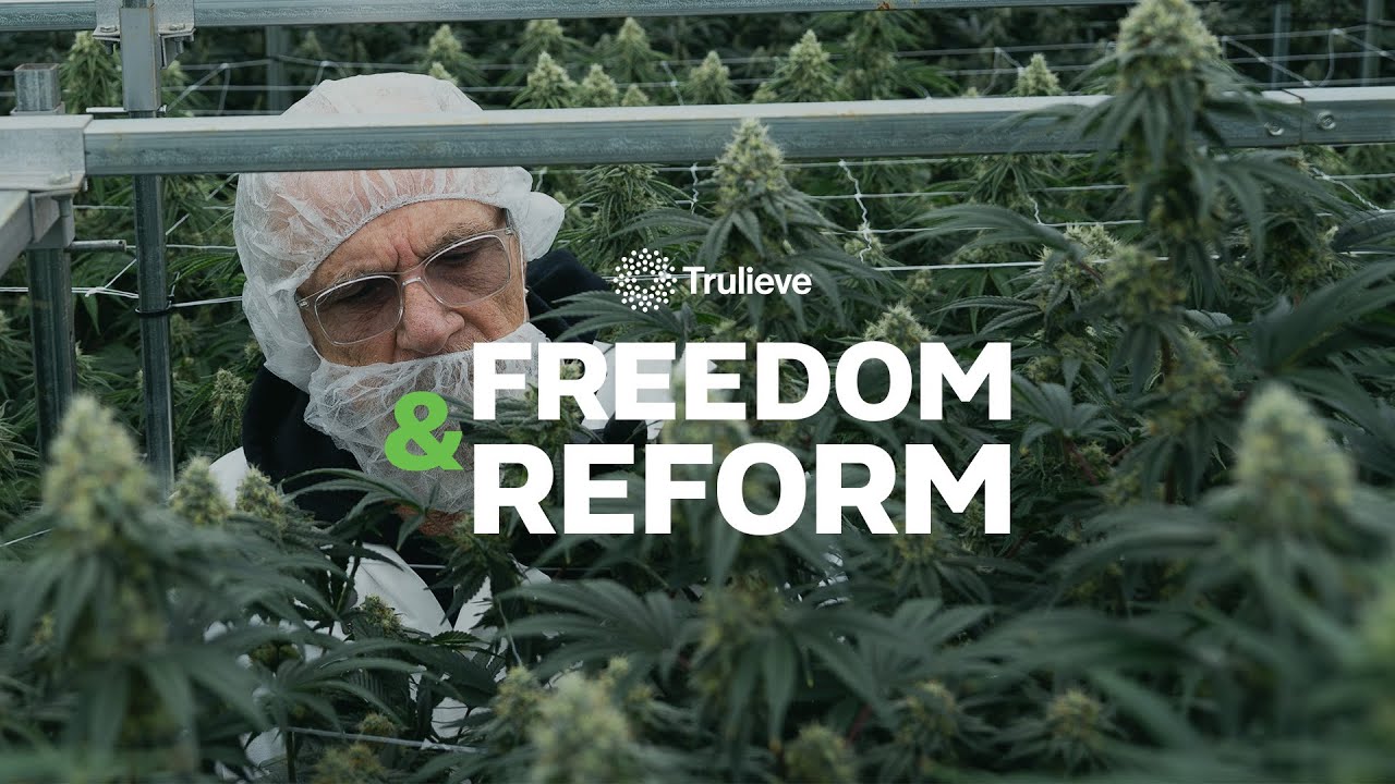 Advancing Restorative Justice in Cannabis: Richard DeLisi&rsquo;s 32‑Year Journey