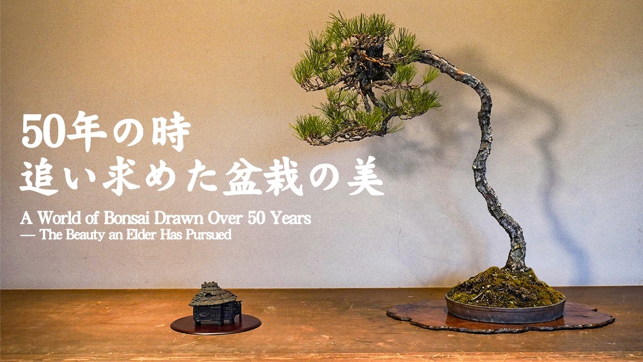 50年かけて描いた盆栽の世界～ある古老が追い求めた盆栽の美～