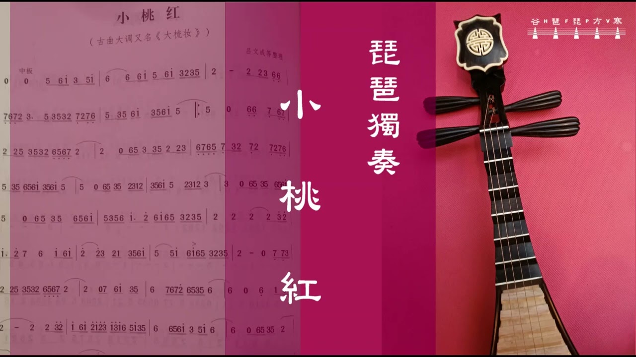 琵琶獨奏《小桃紅》