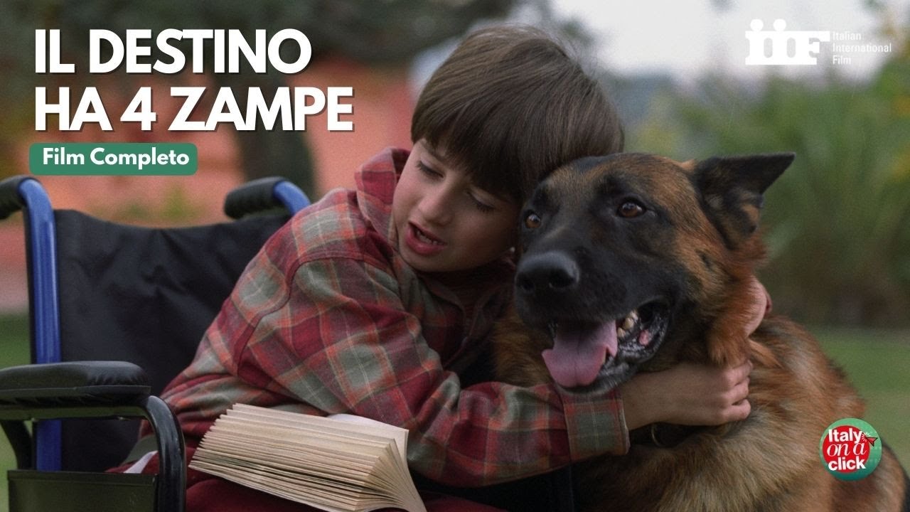 Il destino ha quattro zampe | Commedia | Lino Banfi | Film Completo in italiano