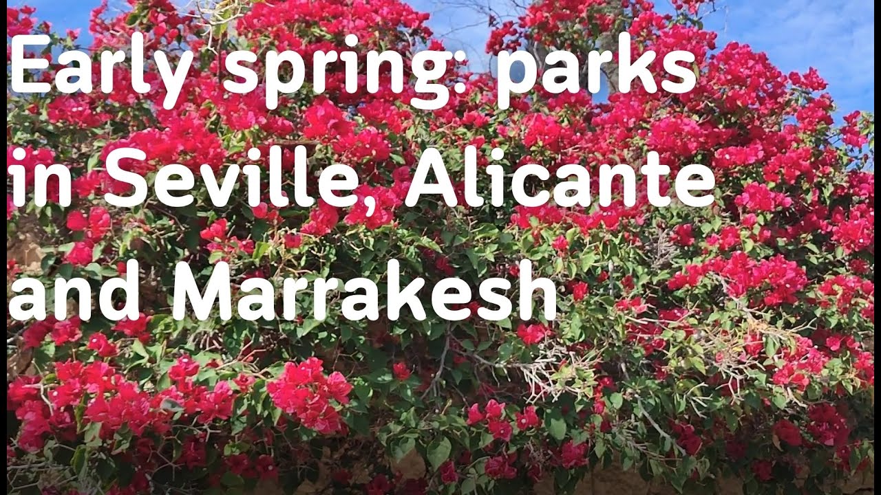 PLANTS in SPAIN and MOROCCO in early SPRING  #park #garden #spain #morocco