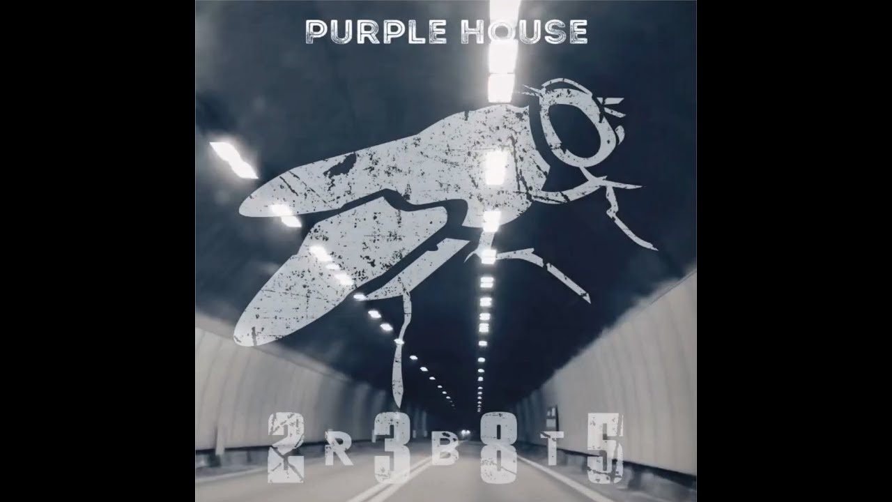 2385 RBT   Purple House