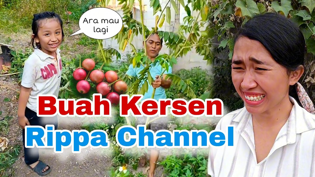 Buah Kersen Rippa Channel
