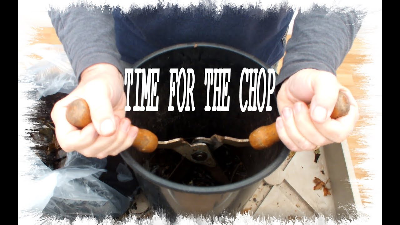 Make Compost 'small scale' for use at home to Grow Vegetables.