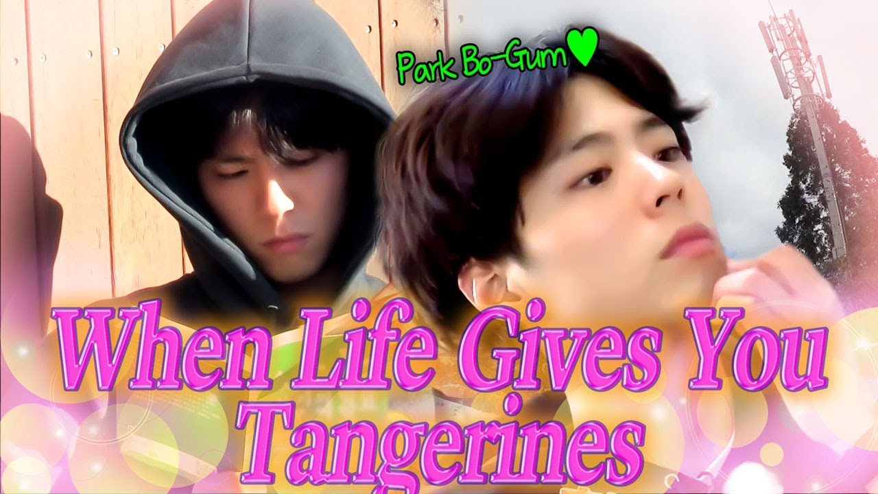 'When Life Gives You Tangerines' Park Bo-gum’s ＂Yang Gwan-sik＂-like Moment