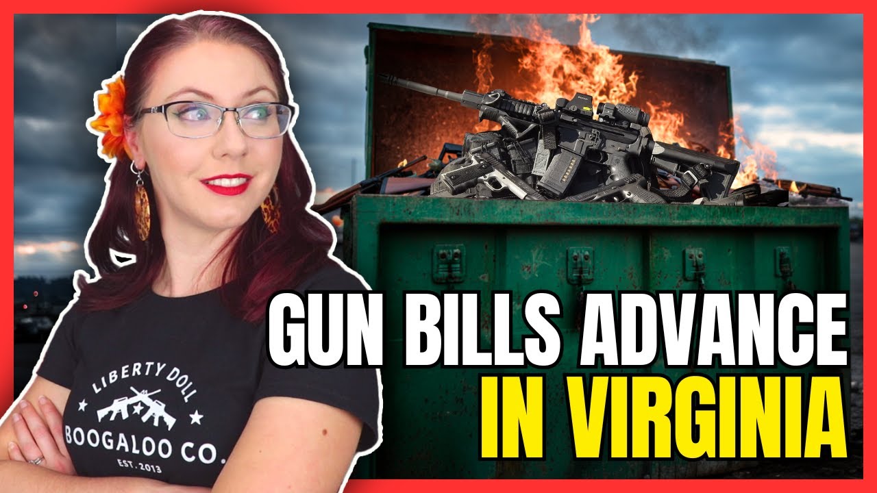 7 Huge Gun Bills Advance in Virginia