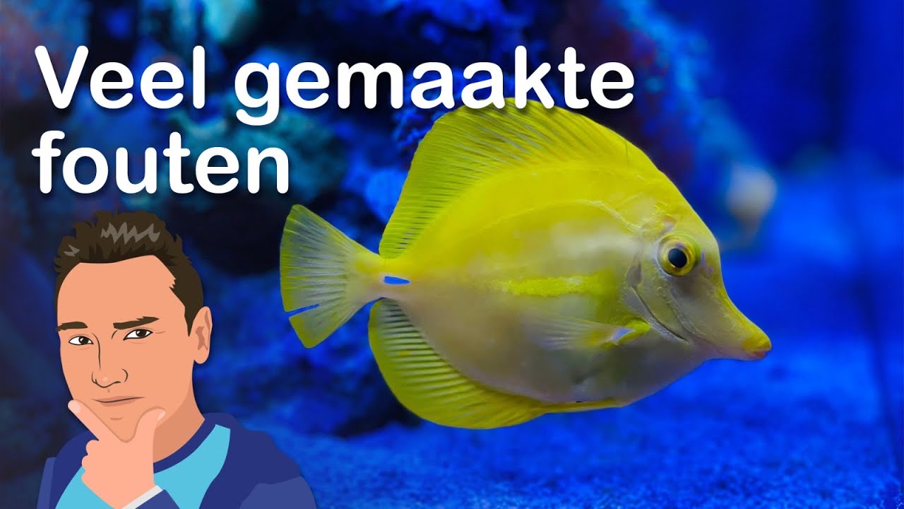 5 Veel gemaakte fouten bij een Zeeaquarium/Zoutwater aquarium