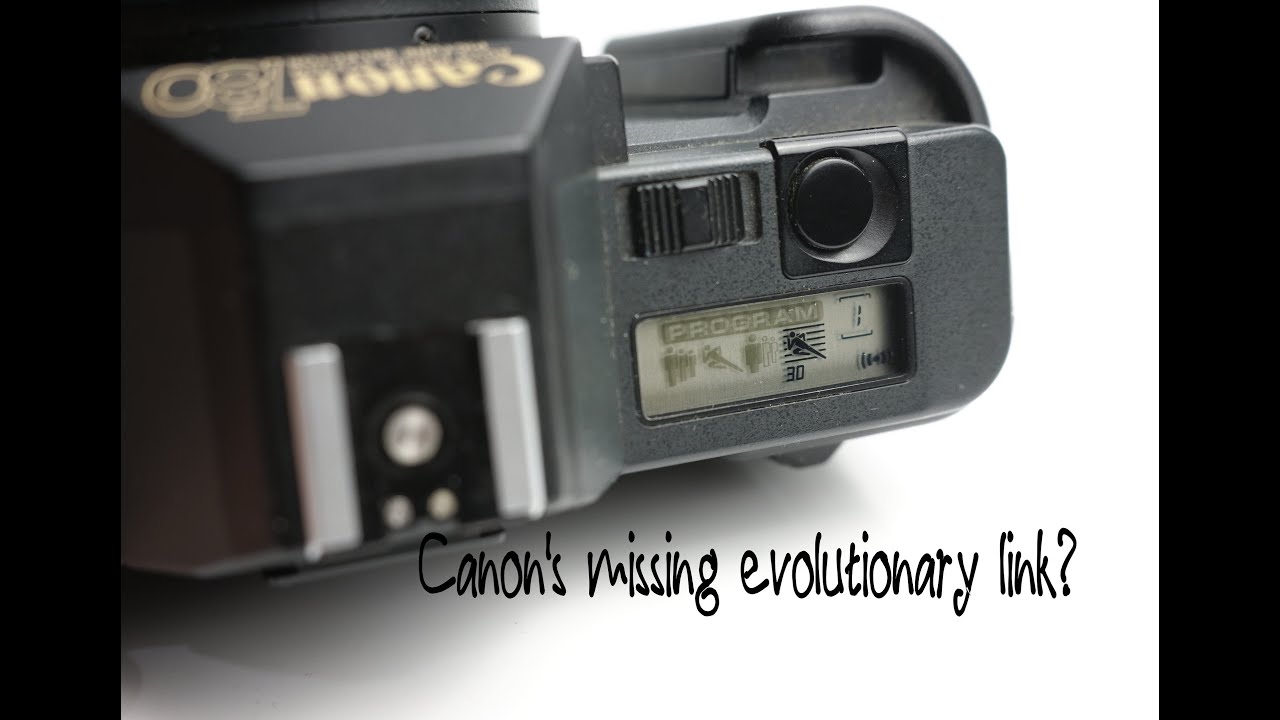 Canon T80 overview