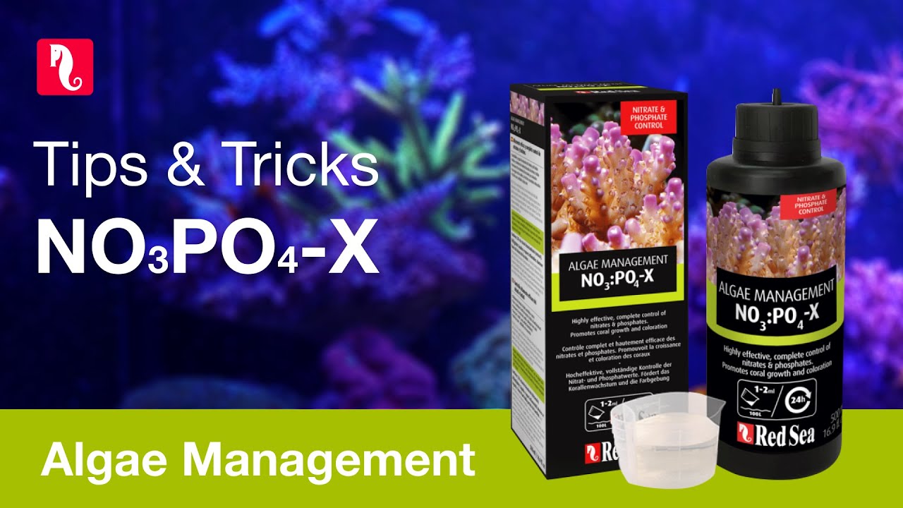 NOPOX - Tips and Tricks