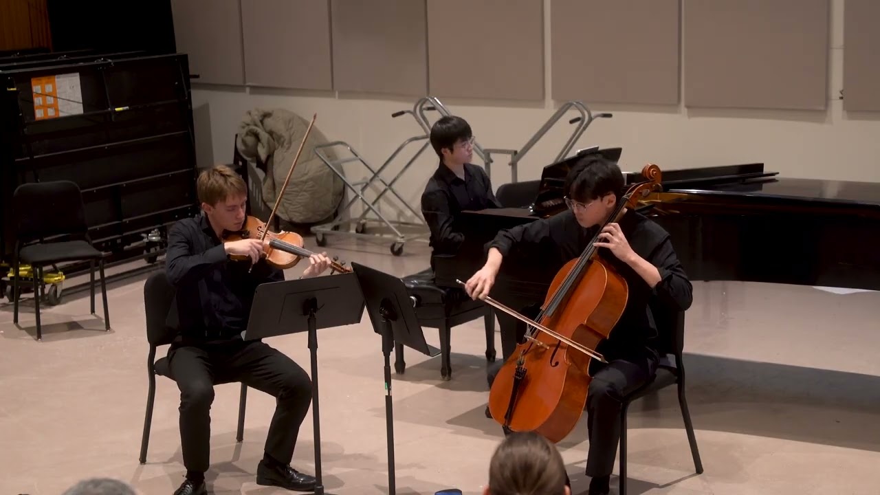 Mendelssohn Piano Trio No. 1 in D minor, Op. 49 - I. Molto allegro agitato
