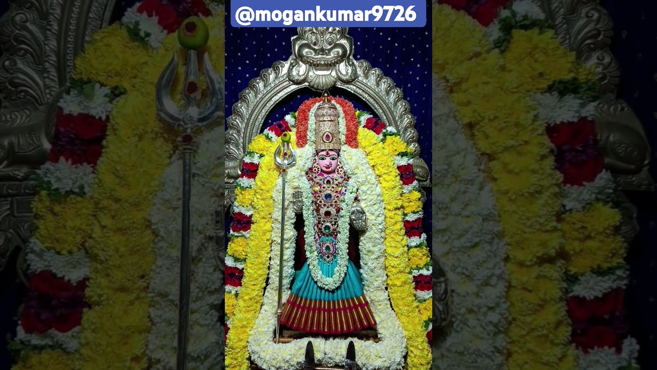 #omsakthi #om  #murugan #devotional #god #love #godmuruga #tamil #shorts #youtube #trending #bhakti