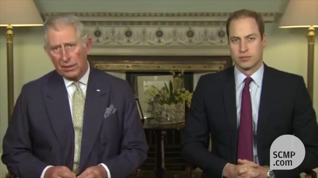 Prince Charles and Prince William take on ivory poaching, in Chinese