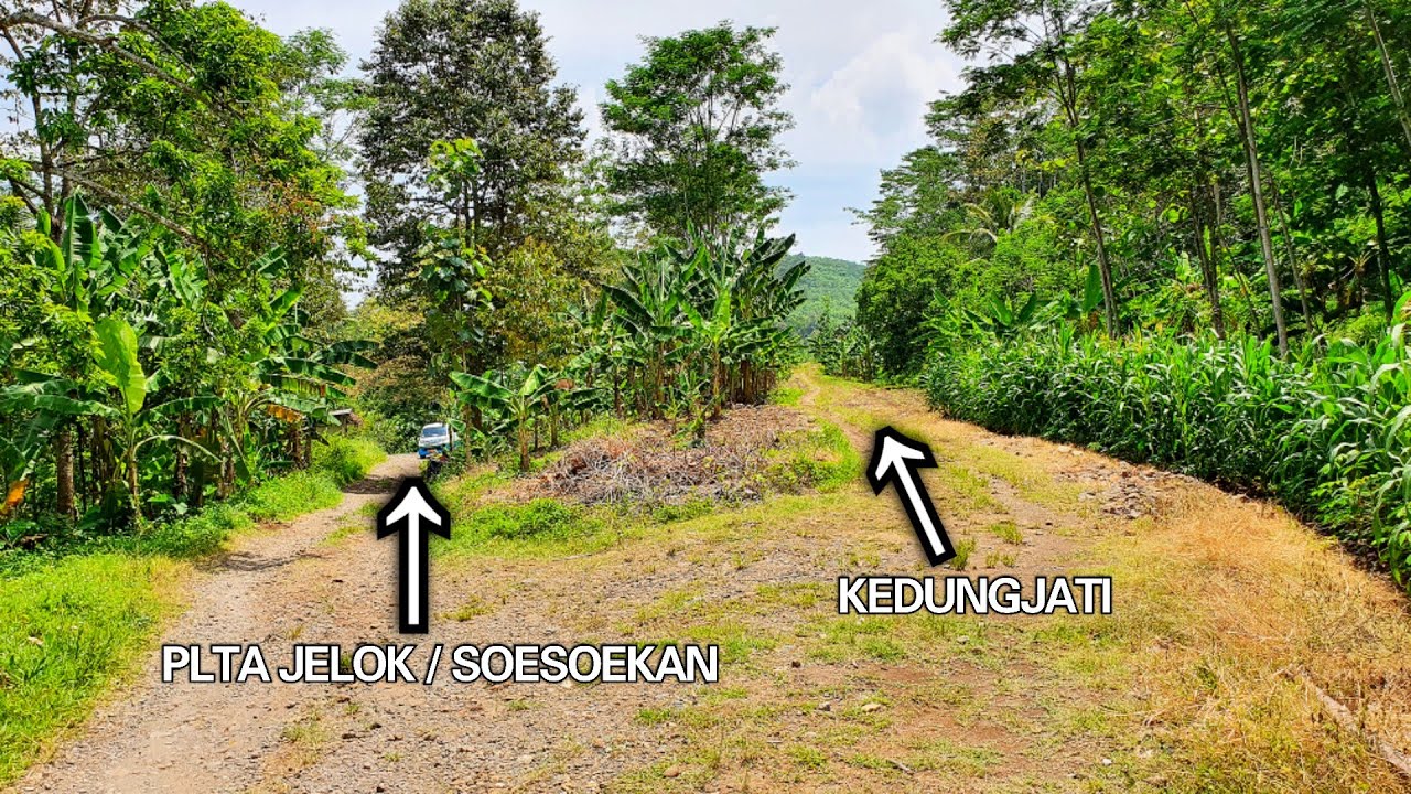 KONDISI TERKINI 