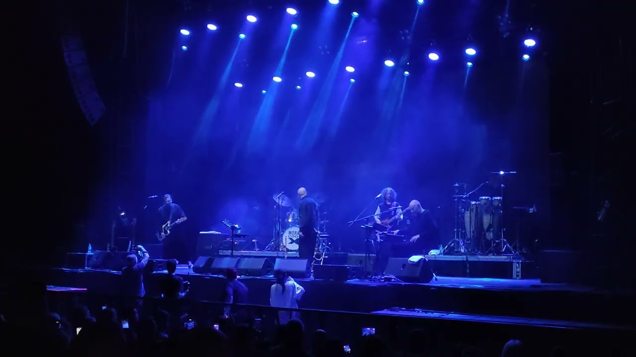Ночной каприз.  Моральный кодекс live