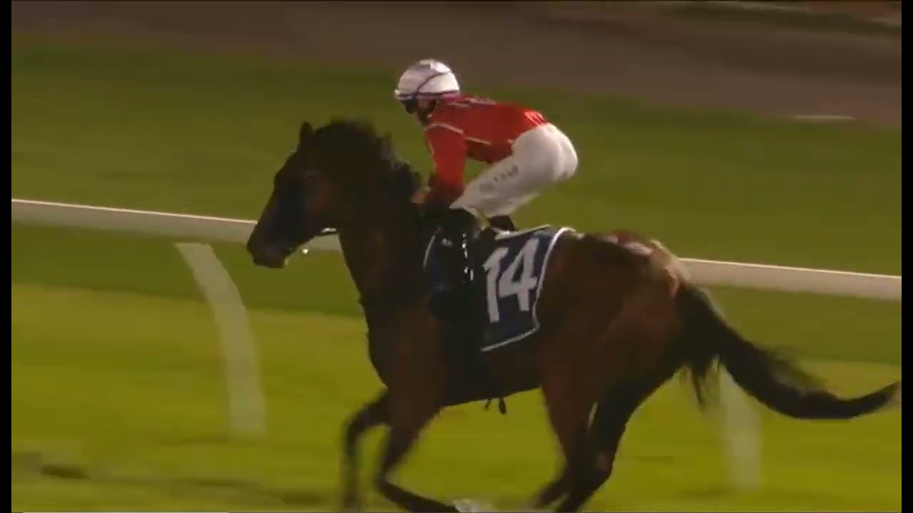 R8 CANTERBURY AUSTRALIA 2026