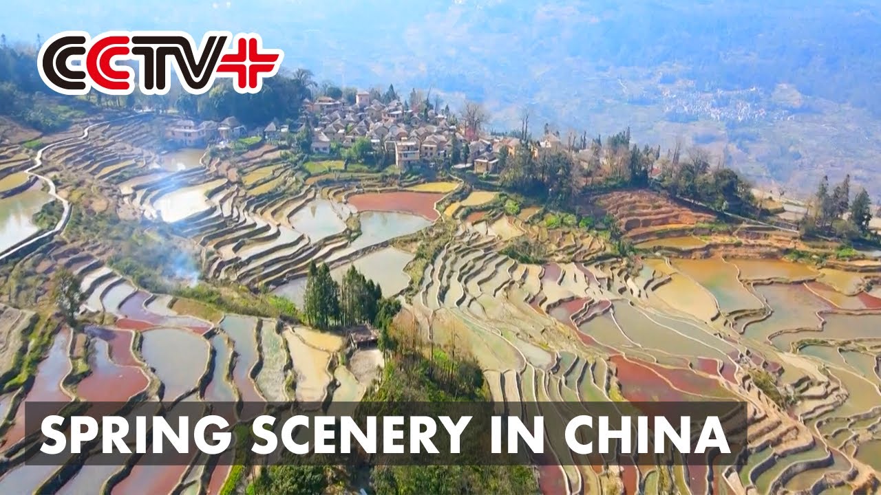 Spring Scenery Enchanting People Across China