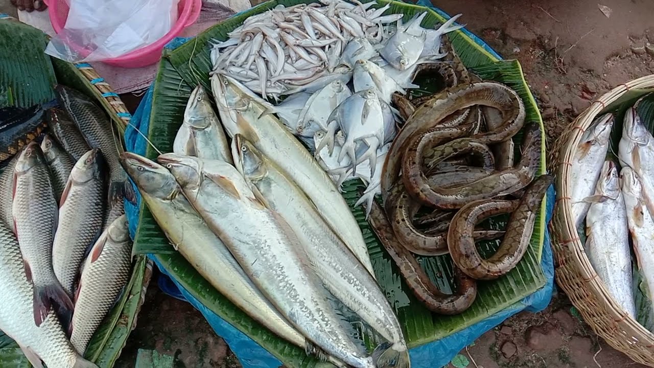 pabna masum bazar.pabna fish market.
