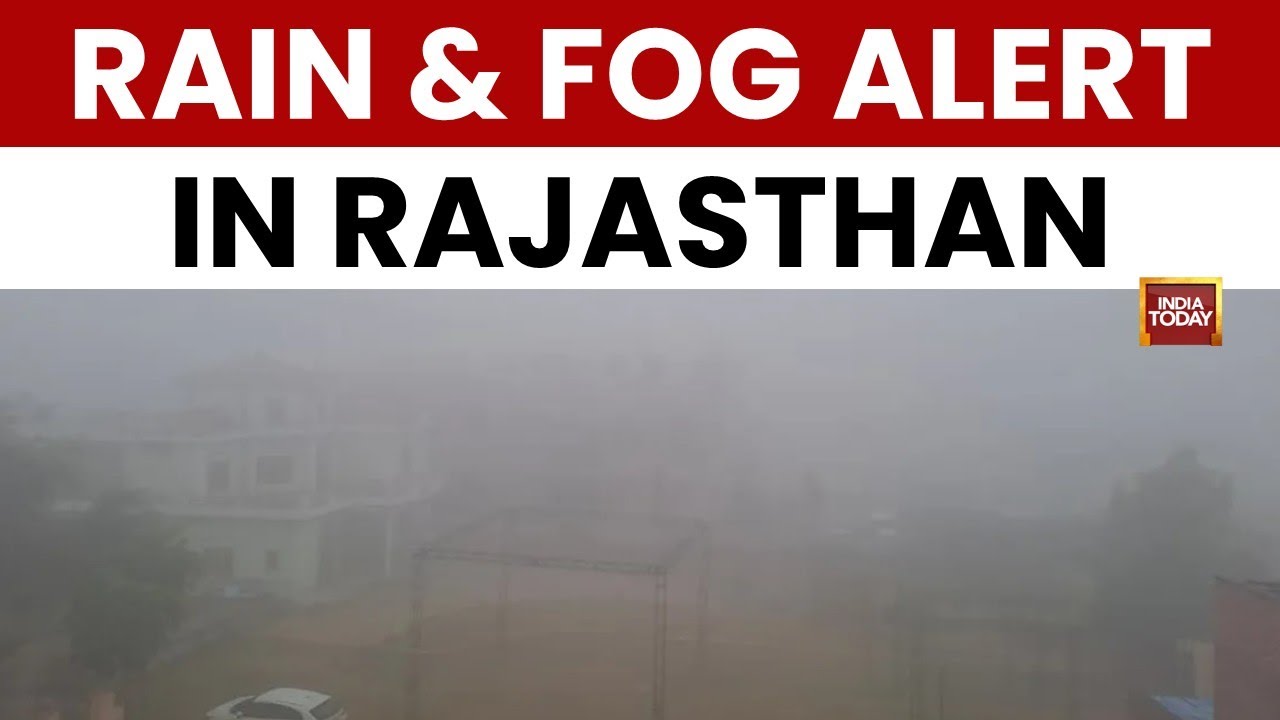 IMD Warns of Dense Fog After Rain in Rajasthan | Rajasthan Weather | Western Disturbance Brings Rain