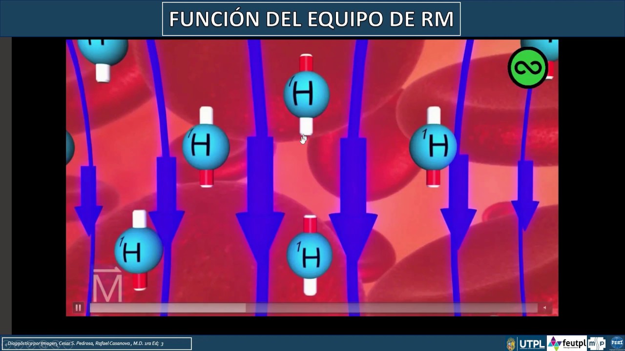 Principios físicos de la Resonancia Magnética