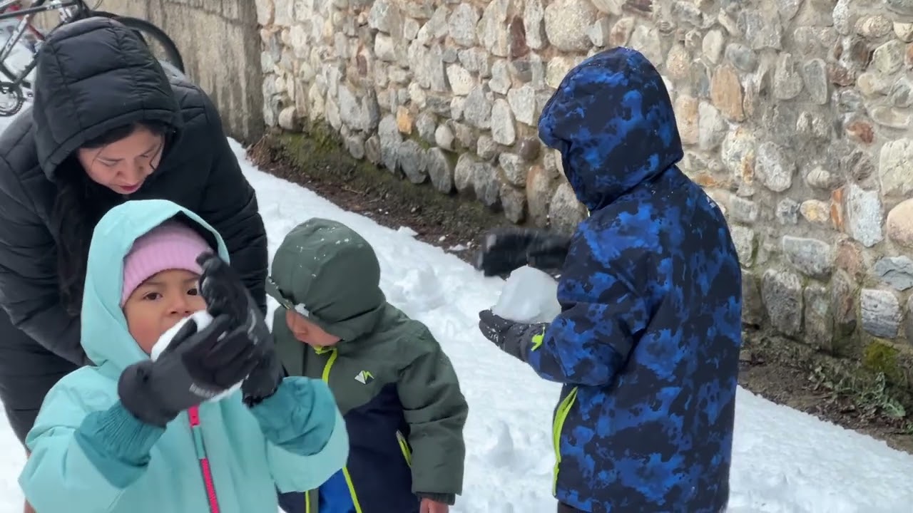 Nevada a Esterri d'Àneu i la Guingueta d'Àneu
