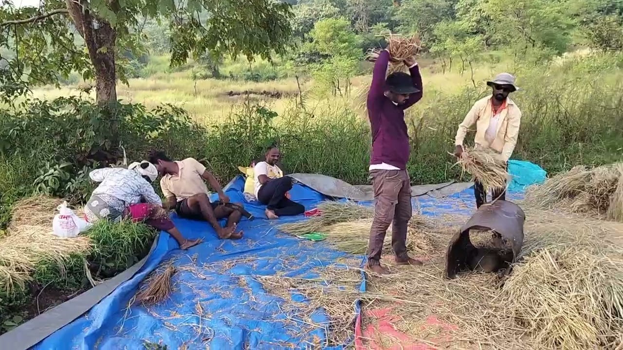 दोन परी शेतात अवतरल्या 💃💃👰👰🌾🌾🌾🌾🌾