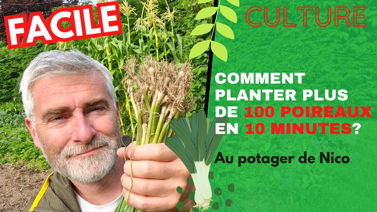 Planter 100 poireaux en 10 minutes et avoir de beaux poireaux cet automne!