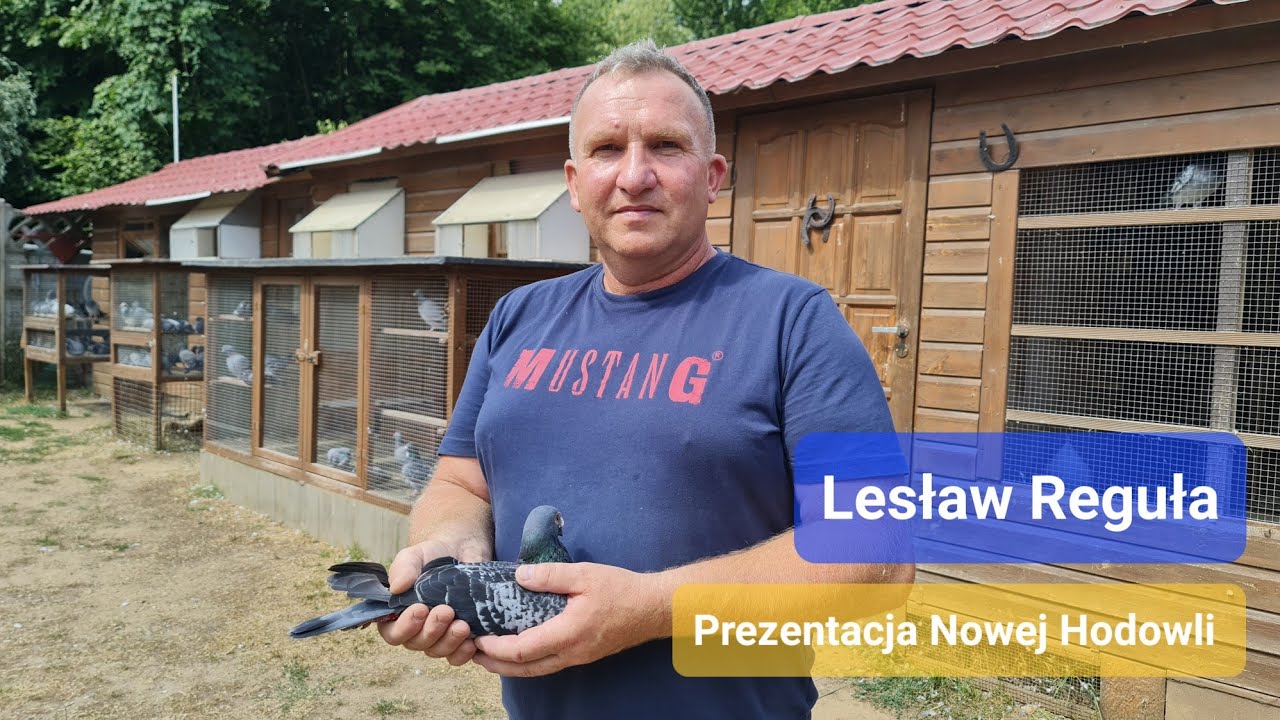 Lesław Reguła - PZHGP 0361 Lubsko / Nowa hodowla ( oparta na Super Rozpłodowcu ) 🇵🇱🎉🏆