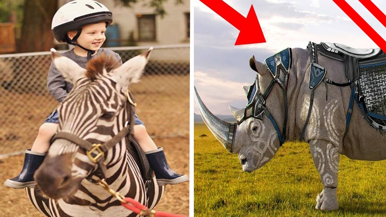 Animales Que Nunca Logramos Domesticar