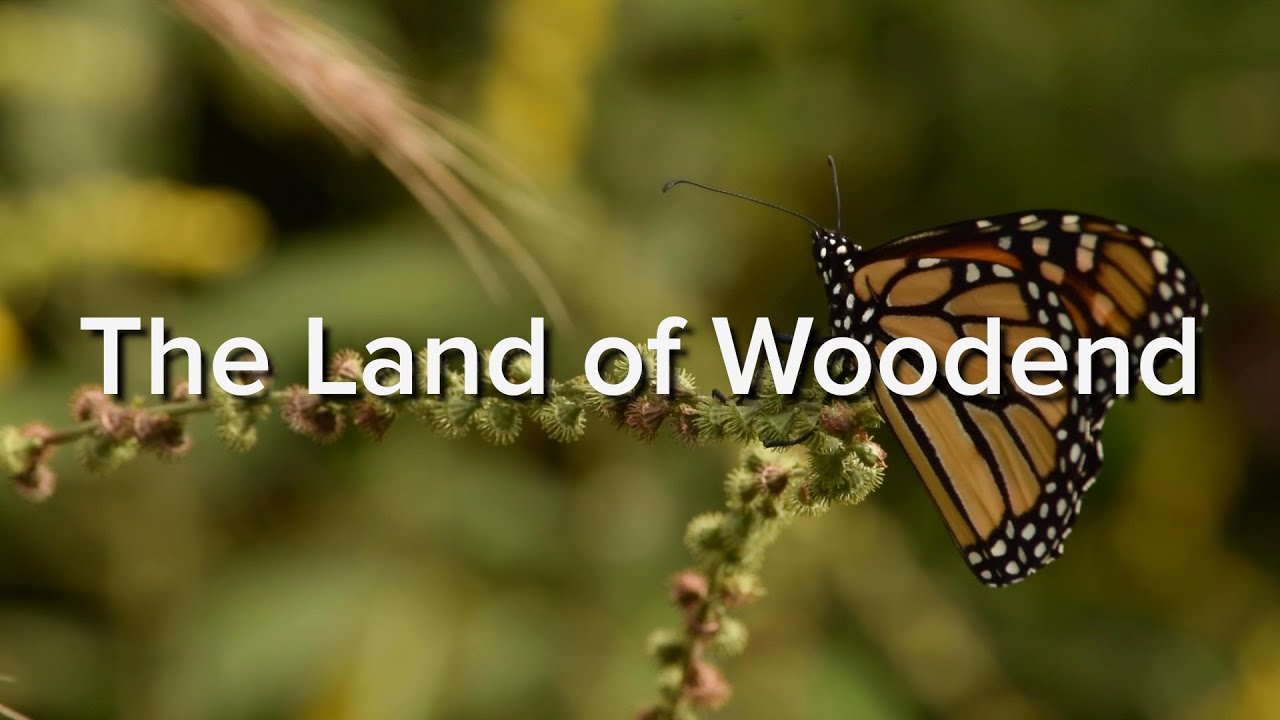 The Land of Woodend (The Complete Film)