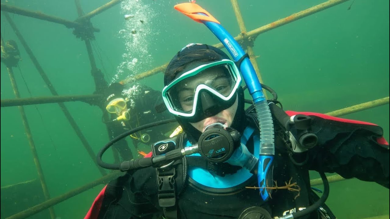 Welcome To The Underwater World!