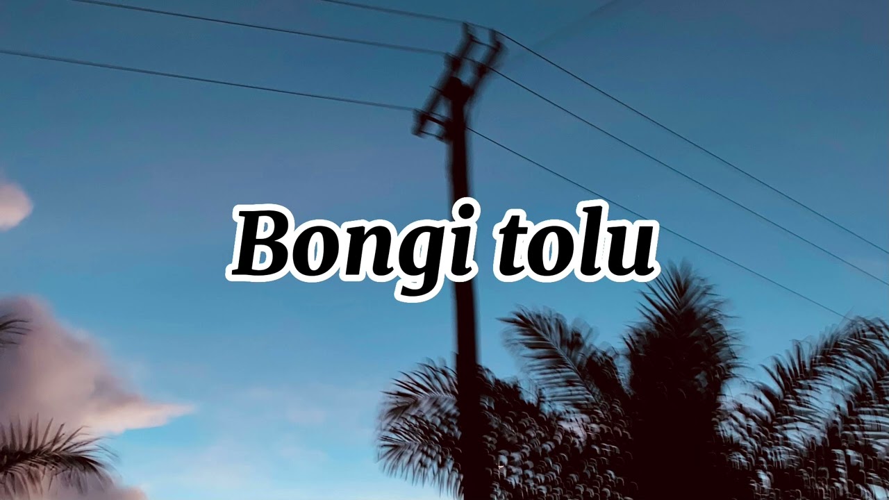Bongi tolu. Island music (guale hits)