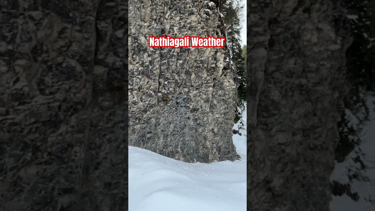 Nathiagali murree galyat weather today #murree #snowfall #nathiagali #nathia_gali #nathia #foryou