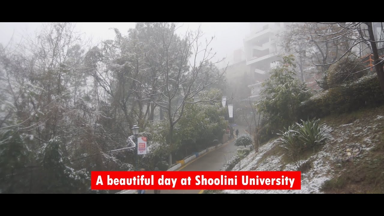 A Beautiful Snowfall at Shoolini University
