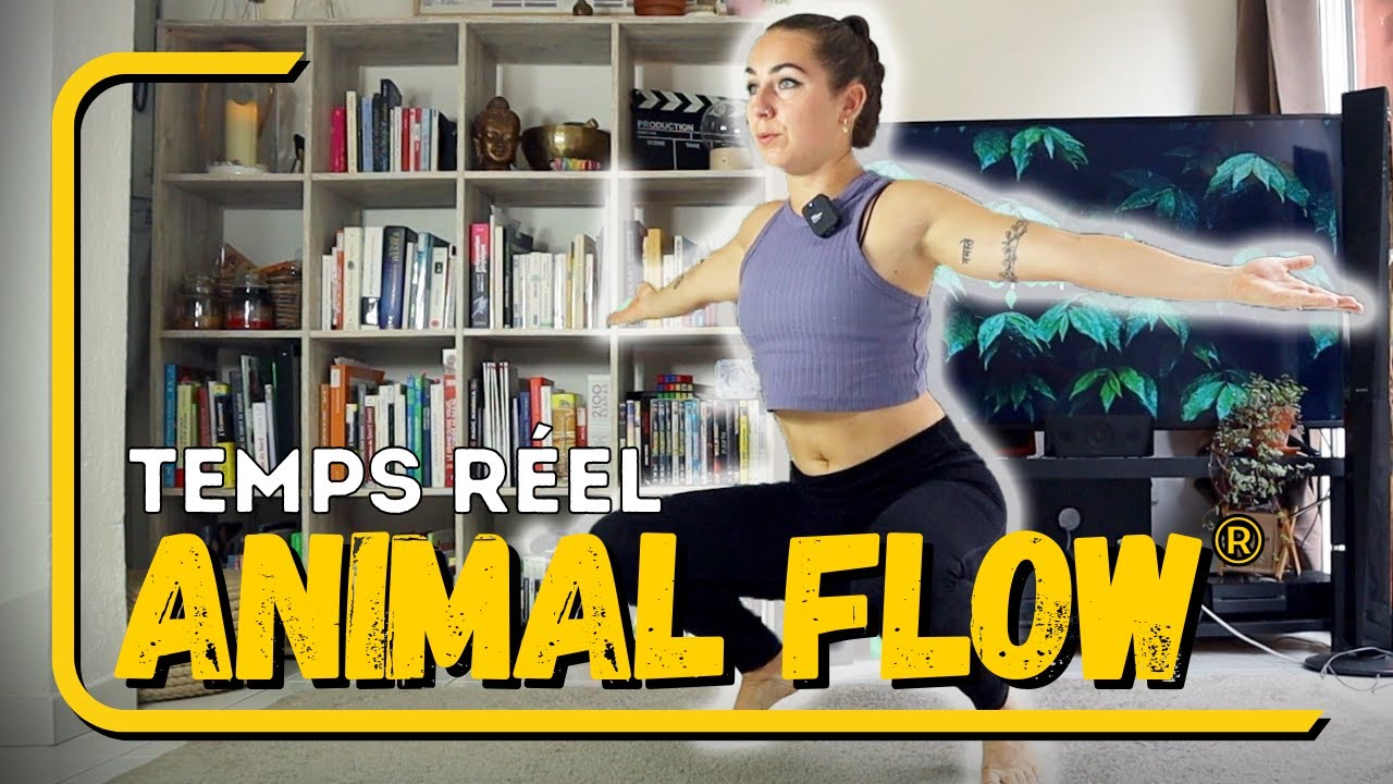 ANIMAL FLOW® WORKOUT pour les DÉBUTANTS / 30 min. en temps réel