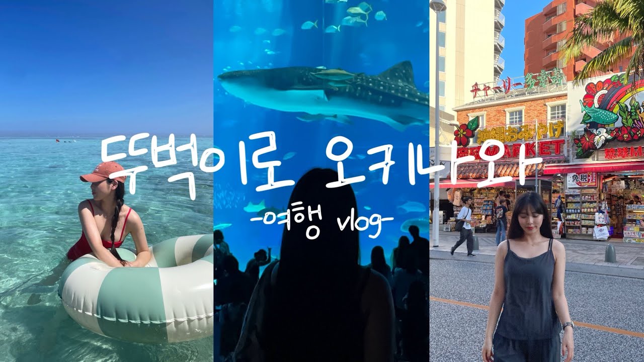 꿀팁을 담은 뚜벅이 오키나와 여행 | 츄라우미 수족관🐋 | 나간누지마 섬 투어🏖️ | 스노클링🤿 | 필수 쇼핑리스트 추천🛍️
