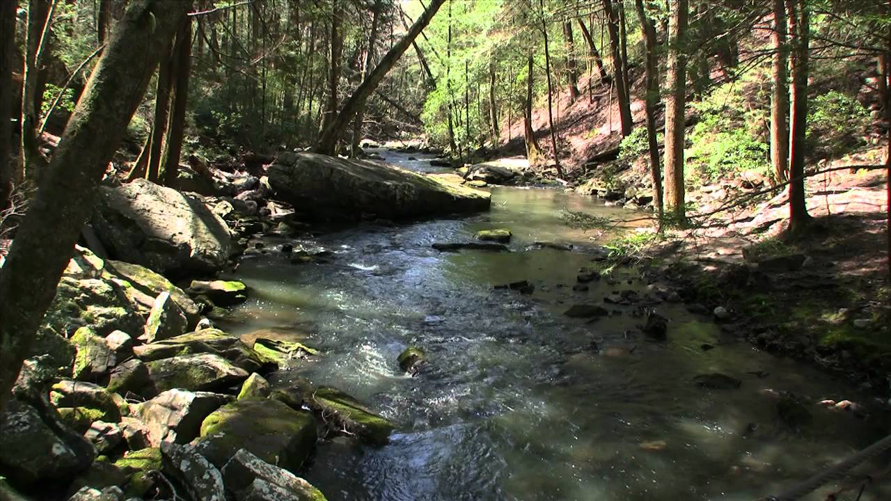 Foster Falls - Tennessee