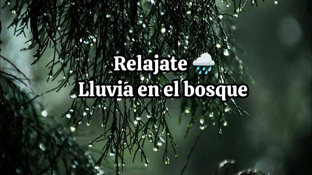 Bosque con Lluvia para Dormir Profundamente 🌧️🌲 Sonidos Relajantes 2 Horas.