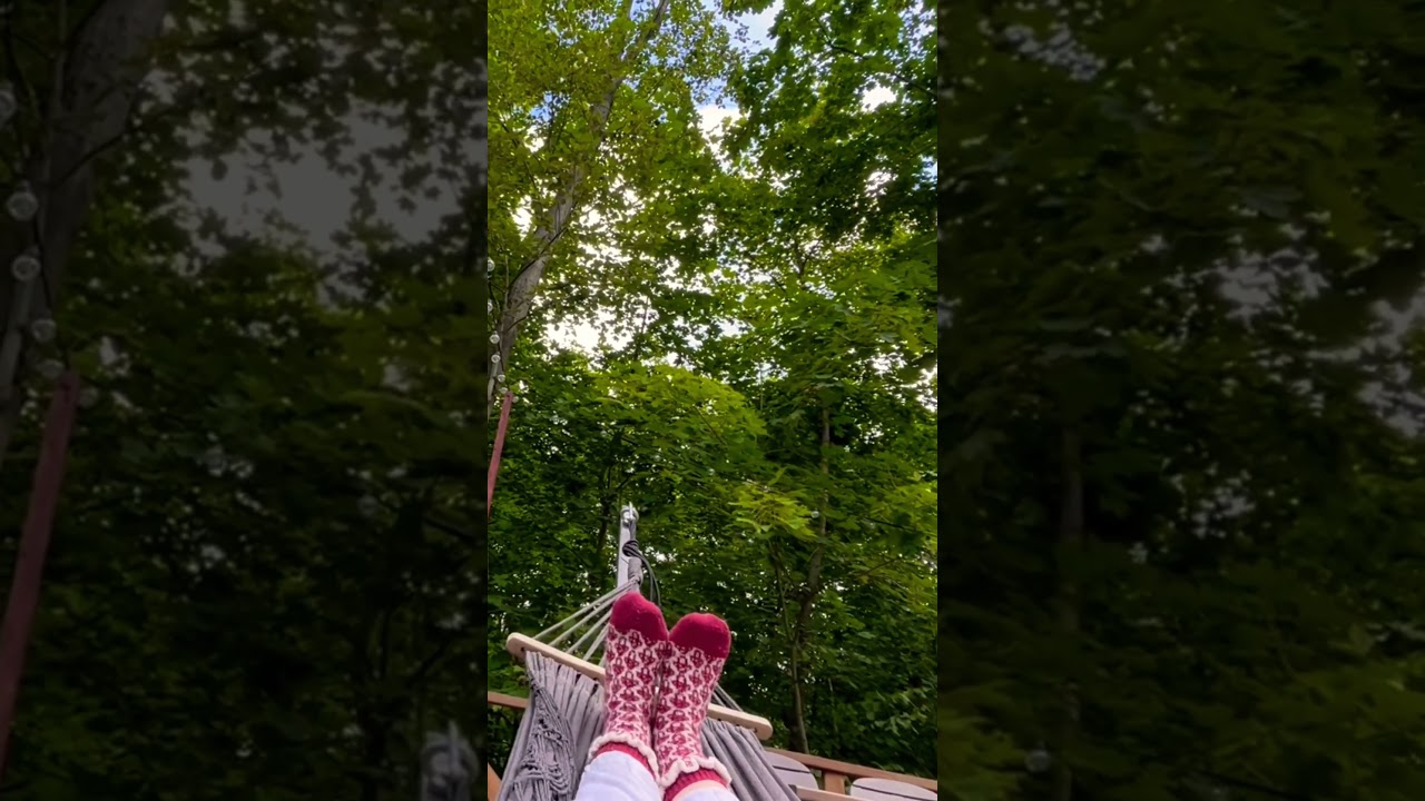 Cozy nature 🥰 уютная природа ☘️ 