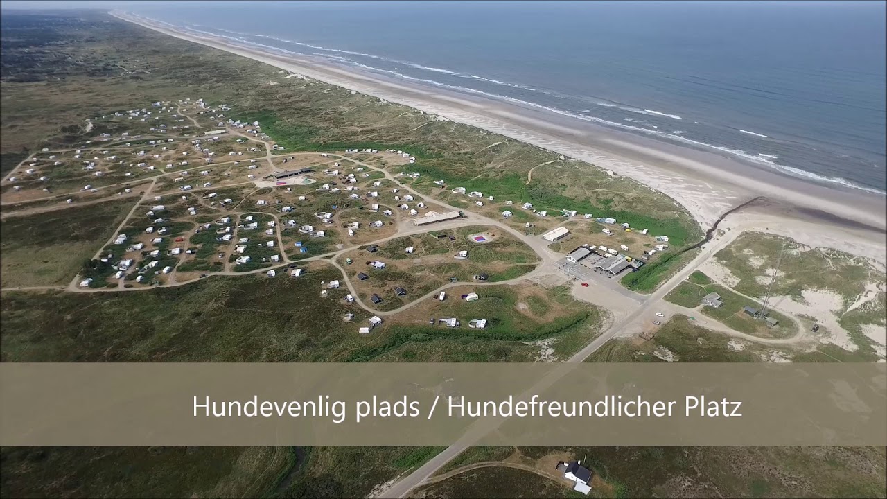 Børsmose Tæt på Stranden / In der Nähe von Strand