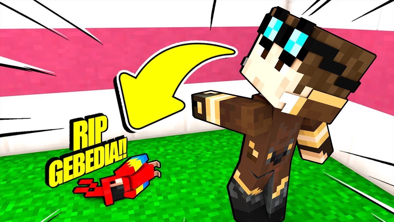 IL MIO PAPPAGALLO GEBEDIA È MORTO SU MINECRAFT!!!