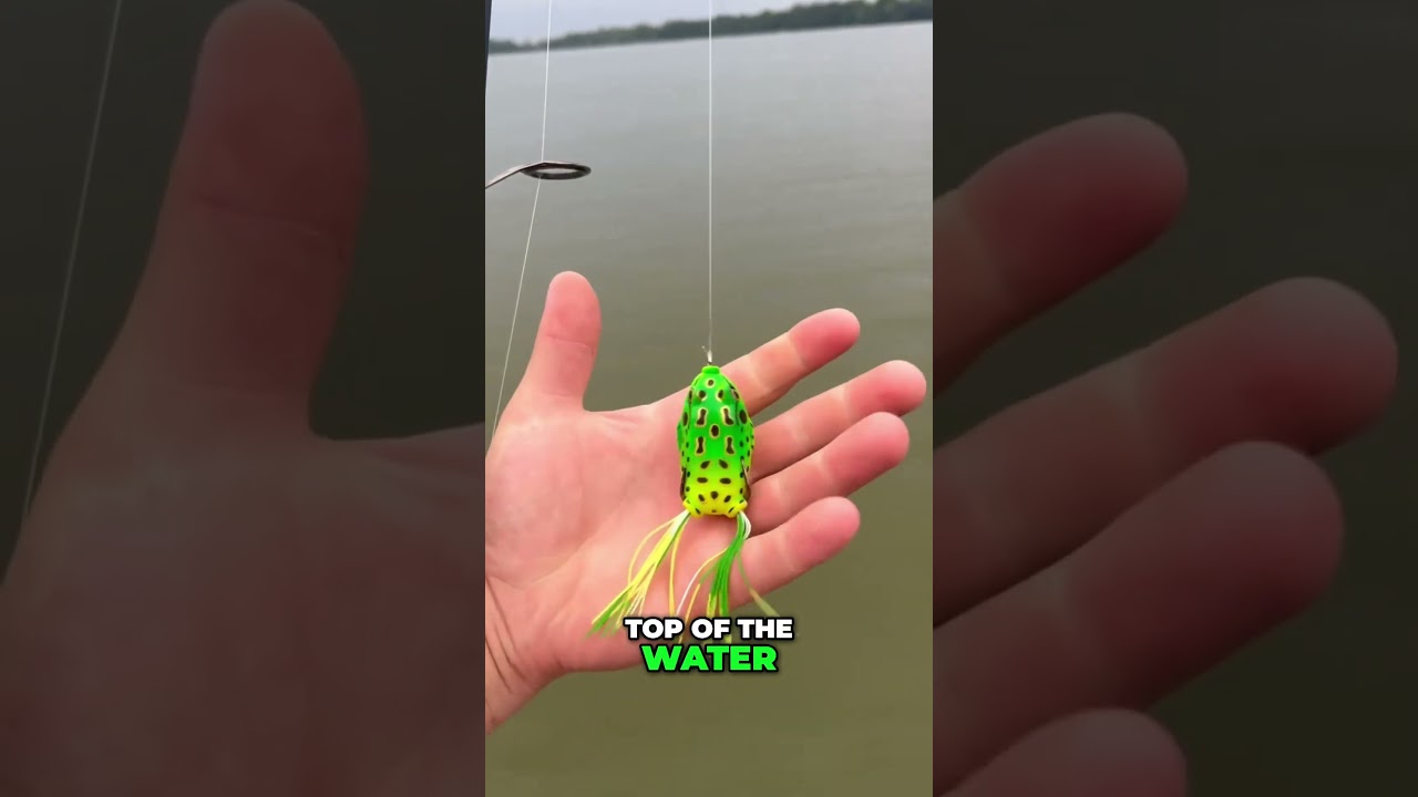 Лучшие приманки для летней ловли окуня! #bassfishing #fishing