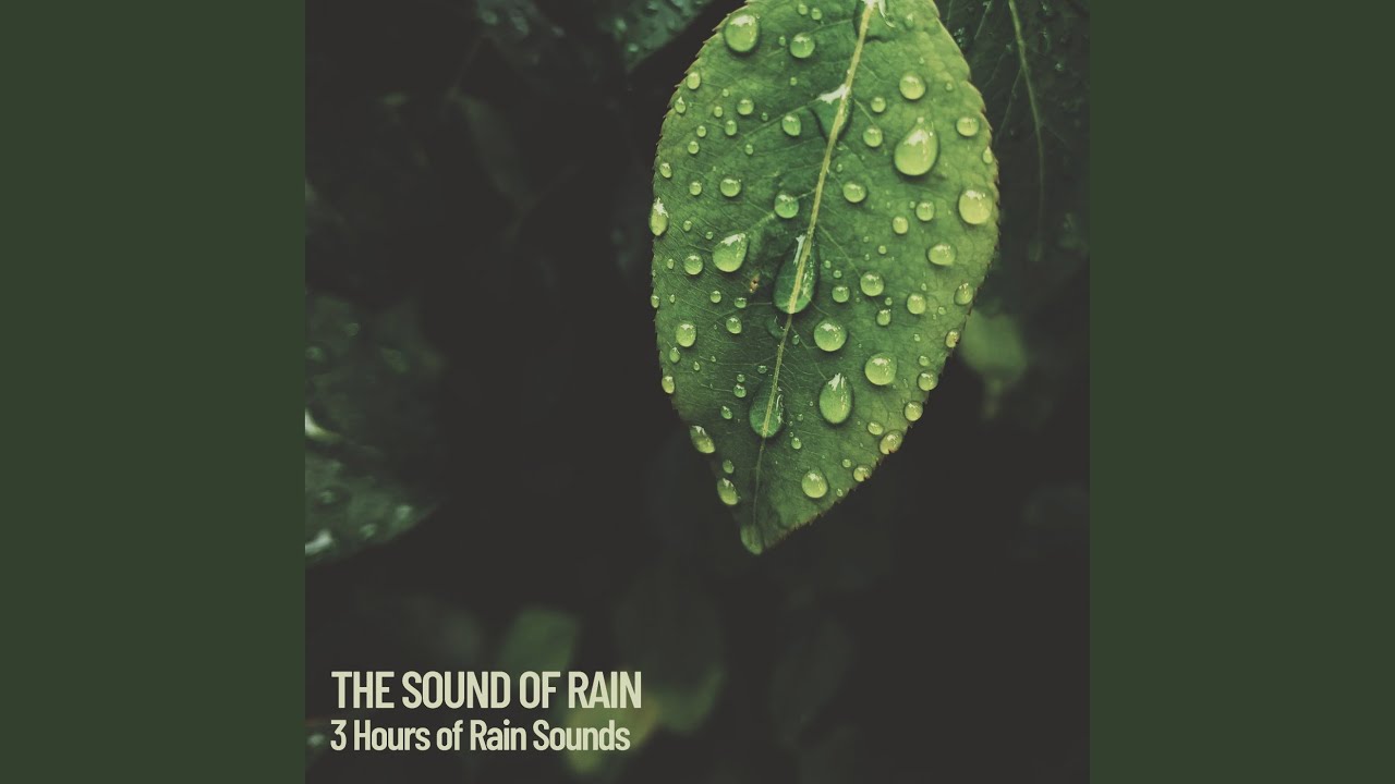 3 Hours of Rain Sounds