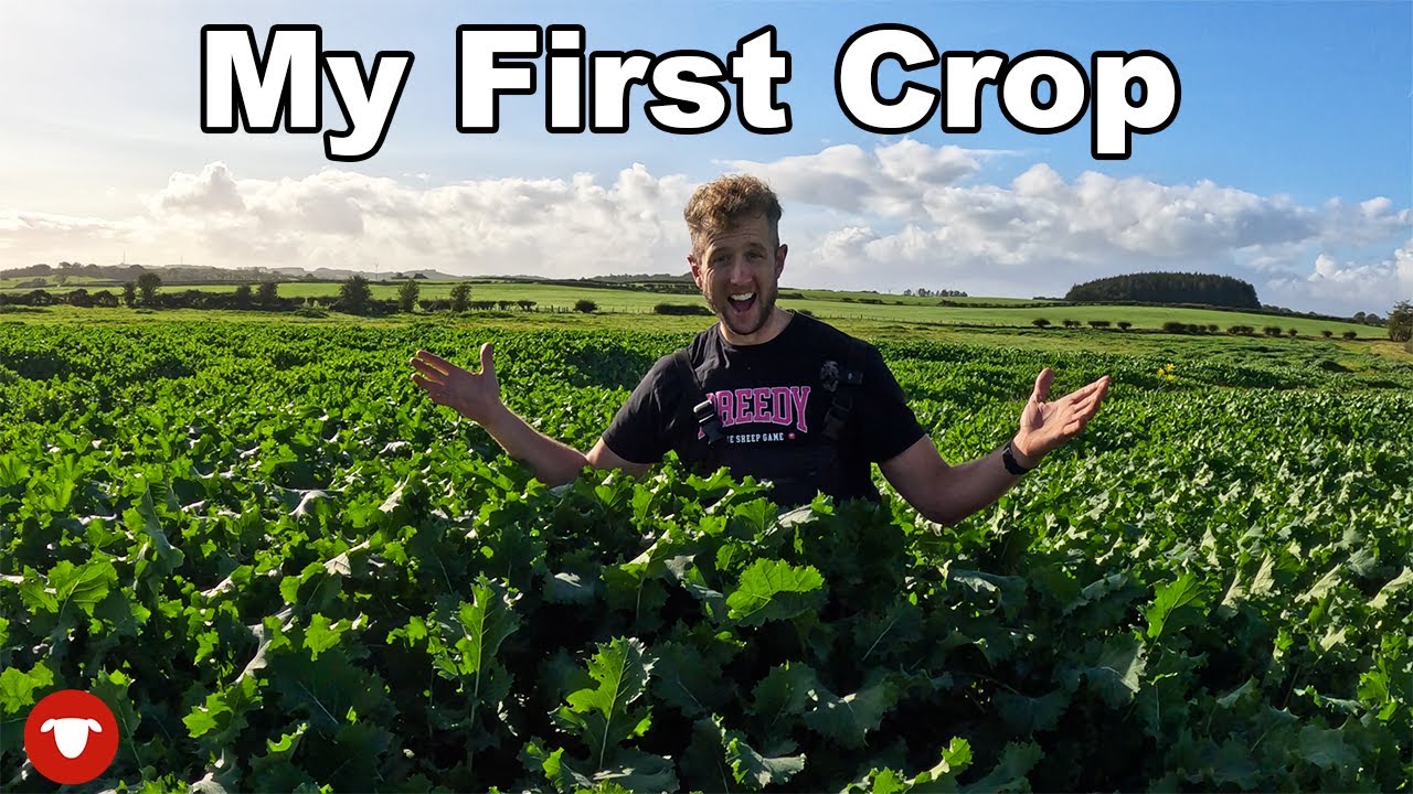 What did we do WRONG with this FORAGE CROP?