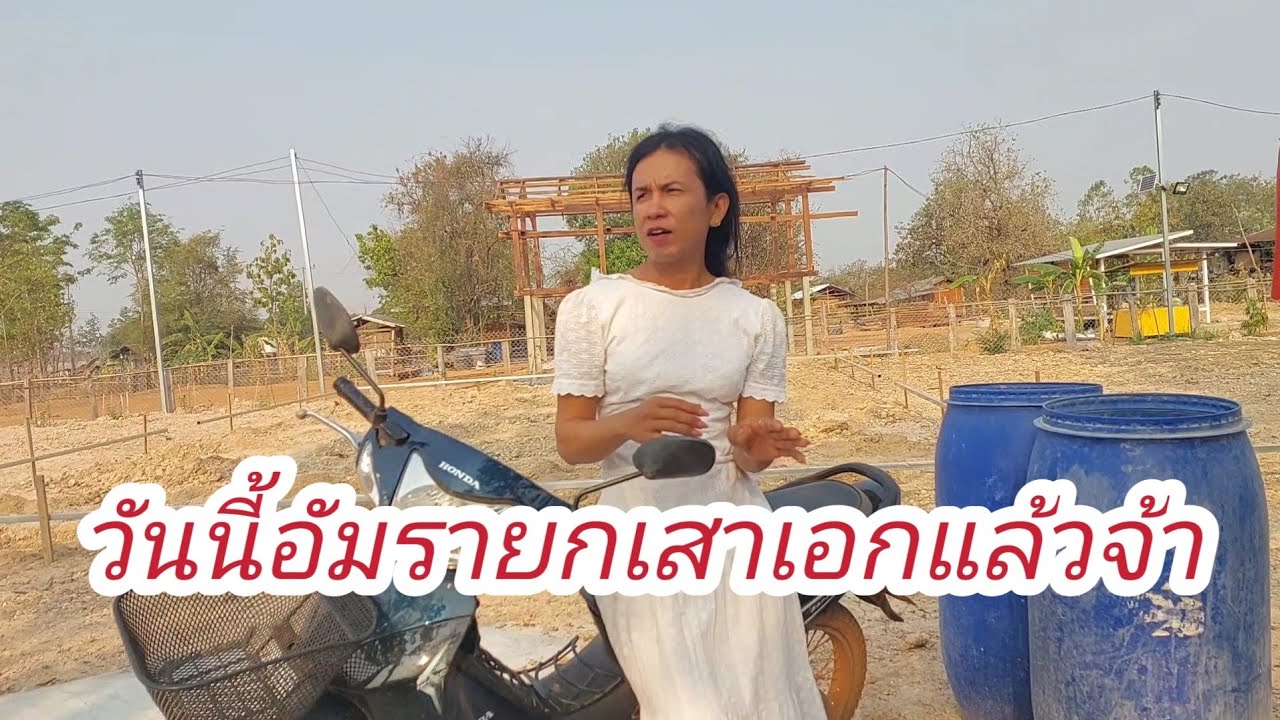 มื้อนี้มื้อสันวันดีอัมราสิยกเสาเอกทำบ้านใหม่จ้ายินดีกับนางจ้า