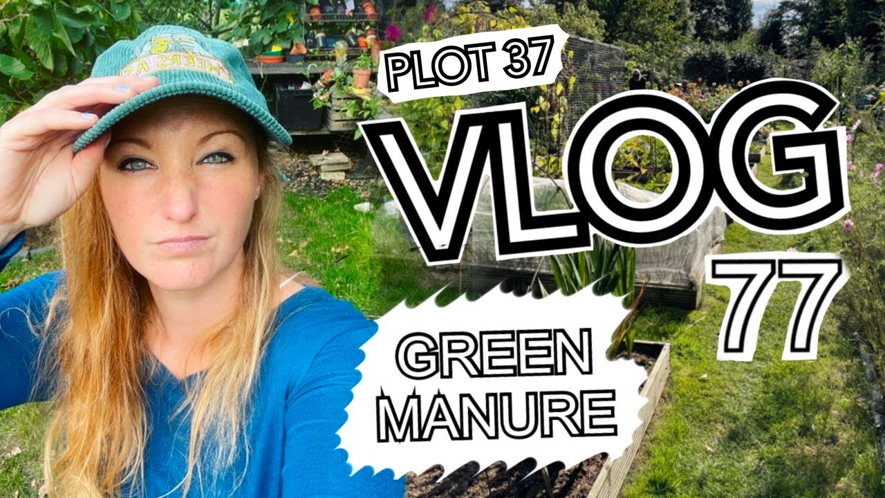 All About Green Manure. Plus Chelsea Flower Show and Freezing Beans || Plot 37 (Episode 77)