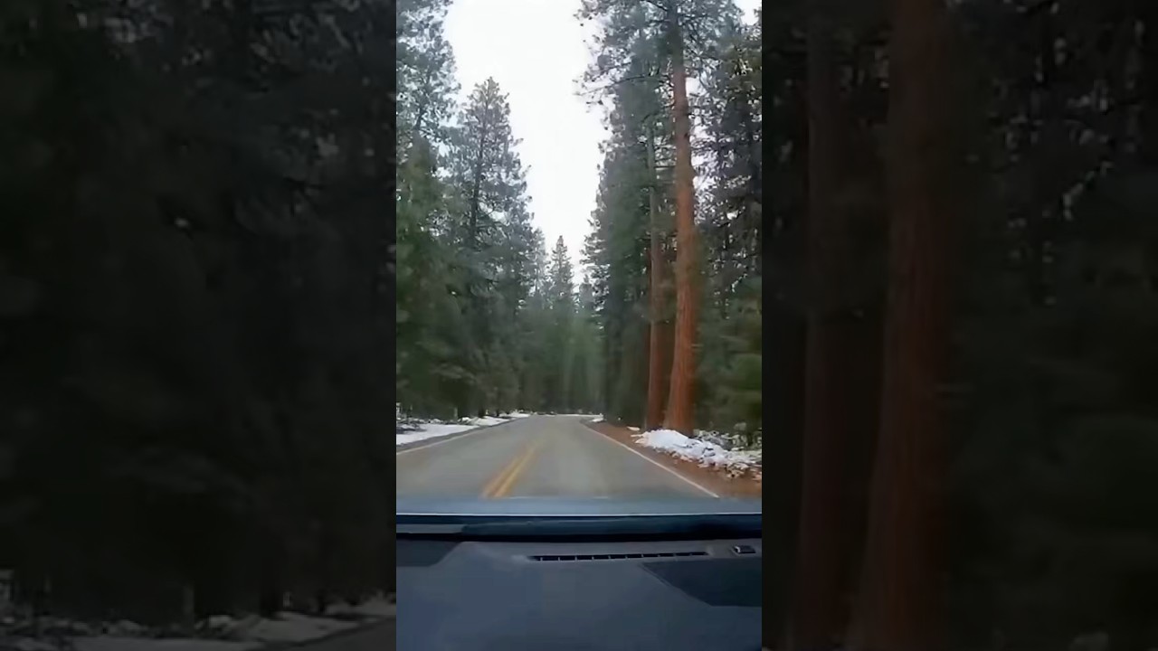 Bigfoot Road 