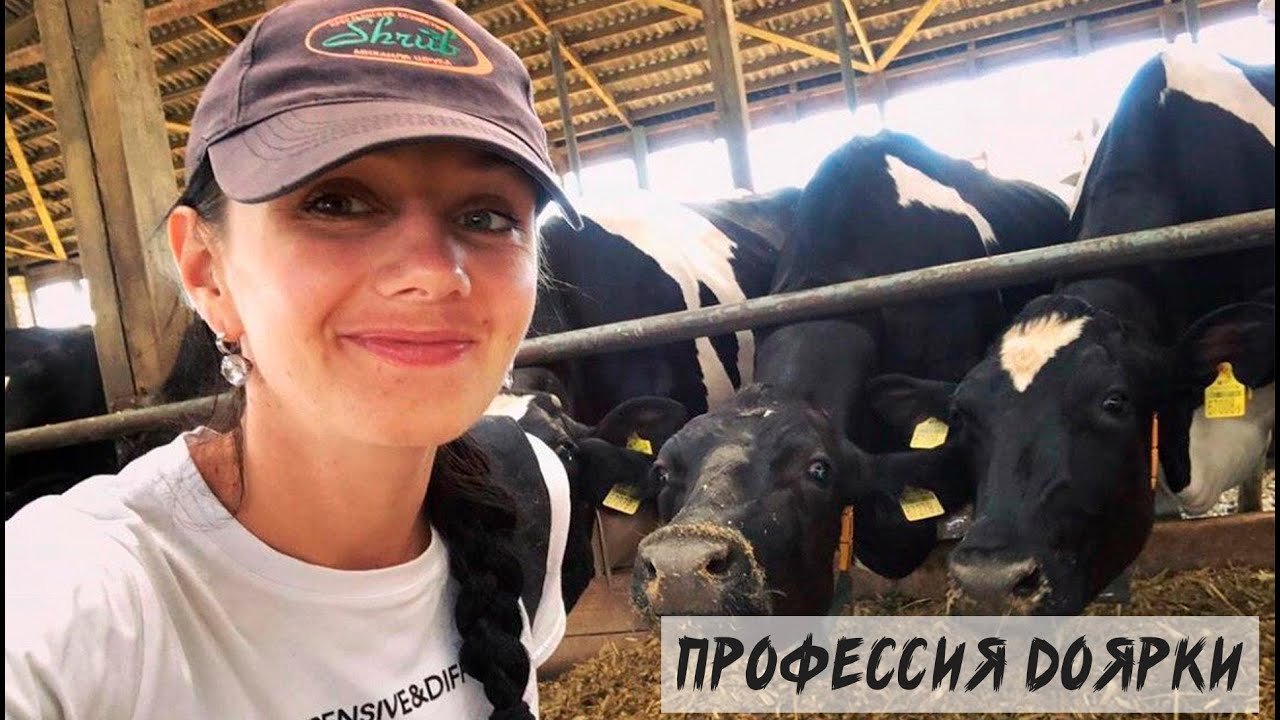 Профессия доярки на современном молочно-товарном комплексе
