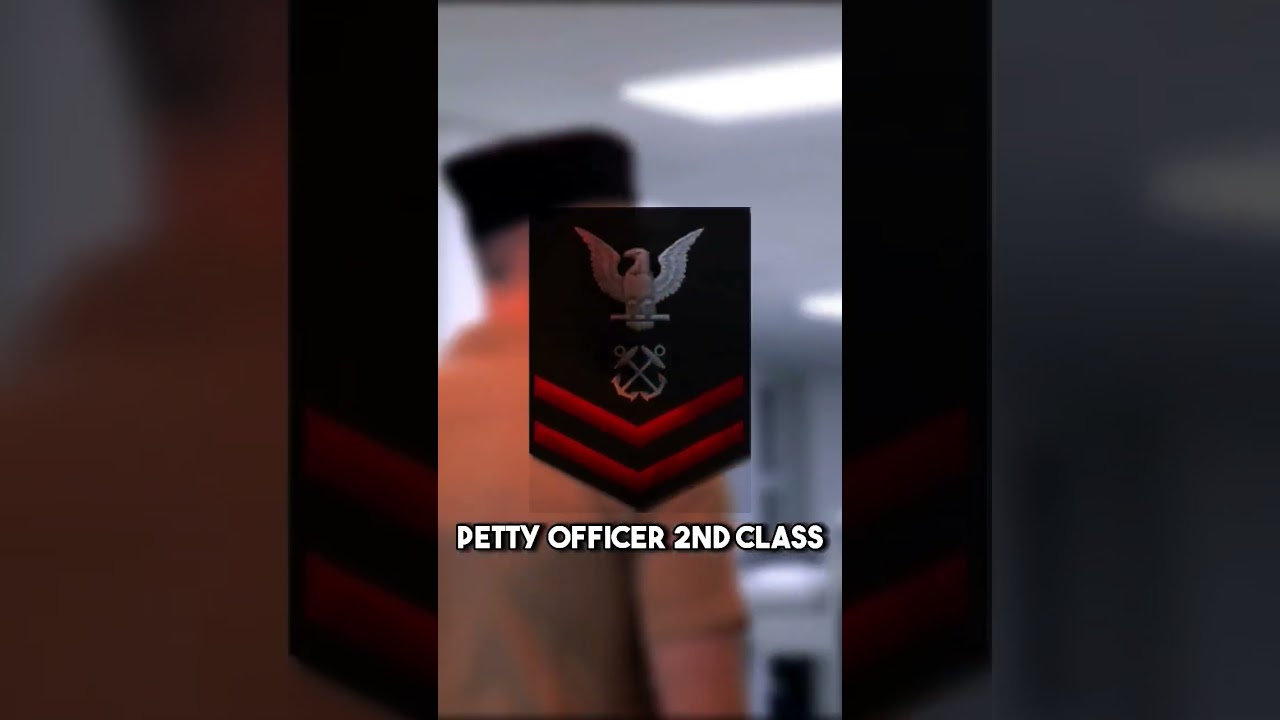 Exploring the Enlisted Ranks of the US Navy #usnavy #basictraining