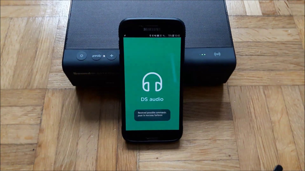 Commandes vocales de DS Audio avec Google Assistant  (Tasker;AutoInput;AutoVoice)